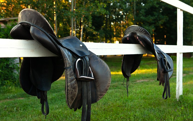 Saddles on Fence