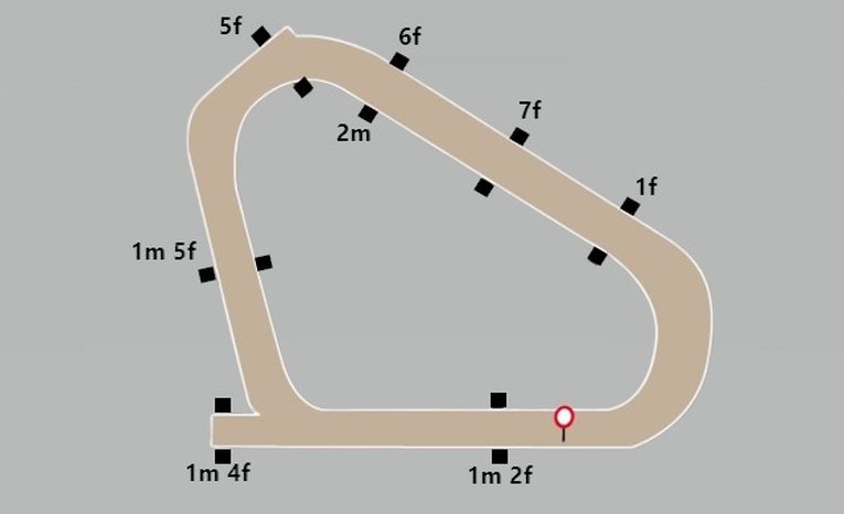 Lingfield Park All Weather Course