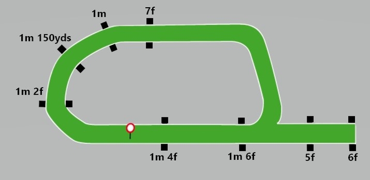 Cork Racecourse Flat Map