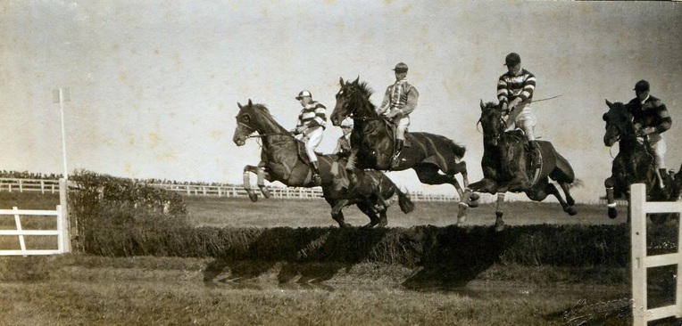 Hexham Racecourse History