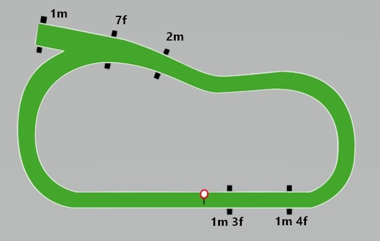 Limerick Racecourse Flat Map