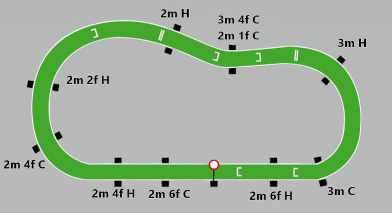 Limerick Racecourse Jumps Map
