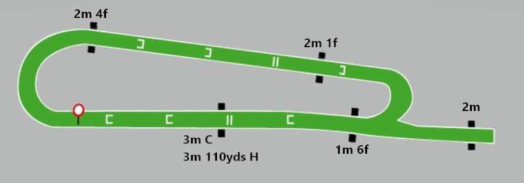 Musselburgh Racecourse Jump Map