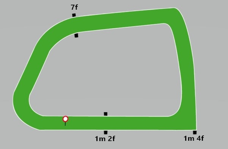 Roscommon Flat Racecourse Map