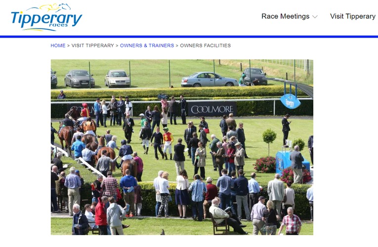 Tipperary Racecourse Crowd