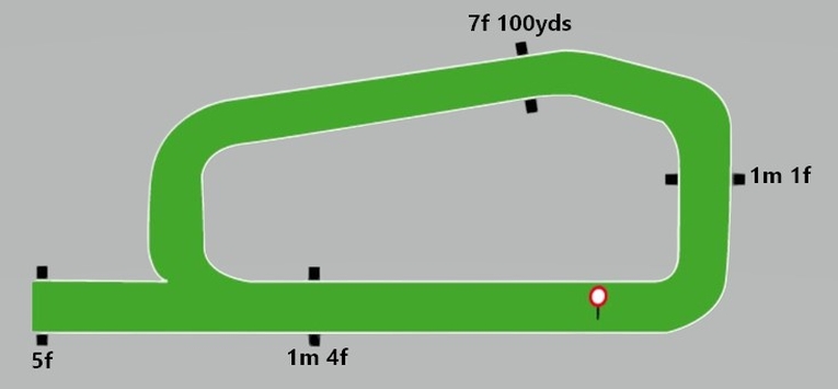 Tipperary Racecourse Flat Map
